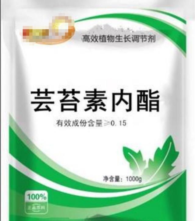 推销商都说：自家芸苔素是油菜花纯天然提取？不能信，实际是这样