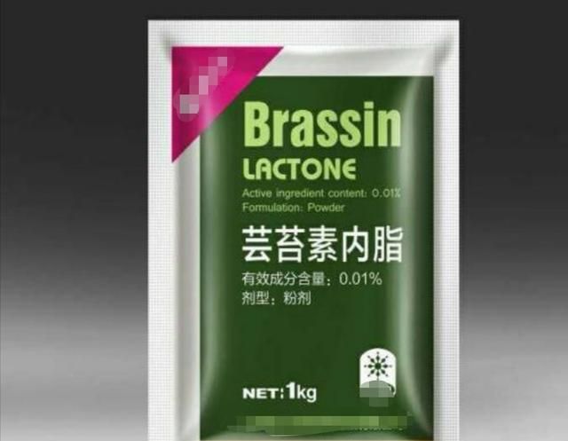 推销商都说：自家芸苔素是油菜花纯天然提取？不能信，实际是这样