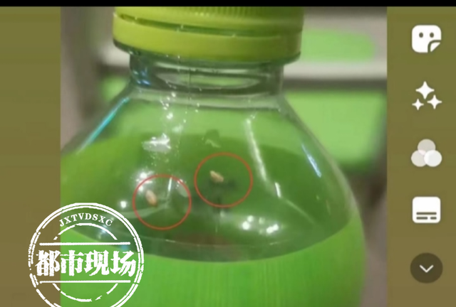 康师傅绿茶内喝出虫卵？男子恶心不已，厂家：已赔偿
