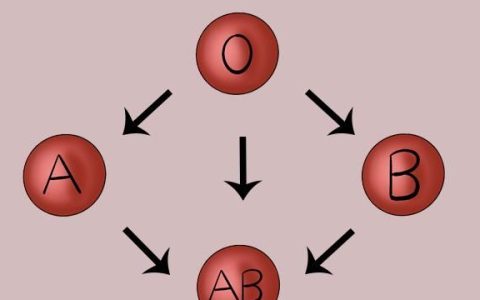 4个血型哪个血型不容易患癌