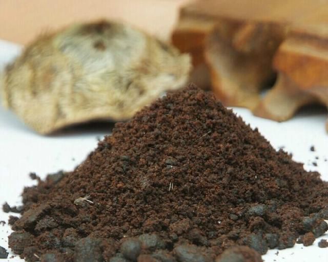 诱饵中药宝典，没有最全只有更全！