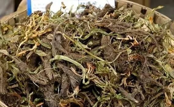 诱饵中药宝典，没有最全只有更全！