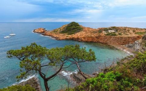 人造纤维会起球吗