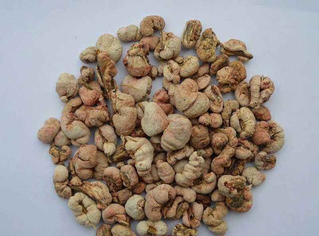这种物质只有竹子上有，时间越久，凝结的越多，你见过吗？