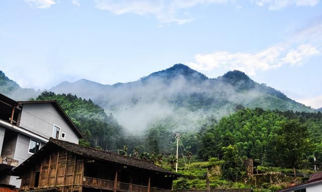 武夷山什么红茶好喝(武夷山有什么红茶好喝)图1