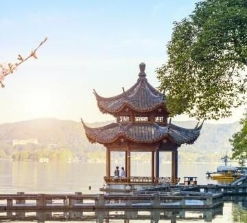 马兰头菜种植时间,马兰头菜的种植时间图4