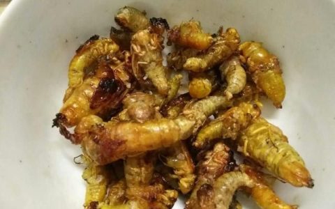 牛大力作为中药材有哪些功效与作用