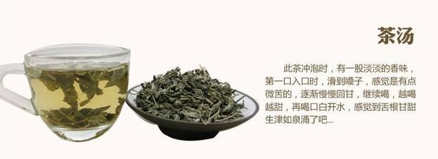 藤茶——大自然馈赠给我们的养生茶