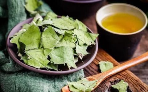 喝荷叶茶真的可以减肥吗