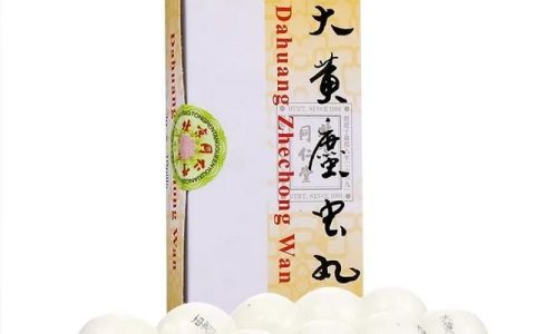 大黄蛰虫丸有哪些功效