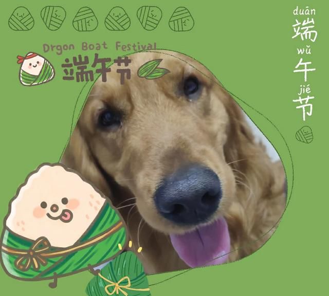 小狗吃了生鸭胆会怎么样吗图4