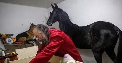 怎么才能从狗狗去世的阴影走出来图3