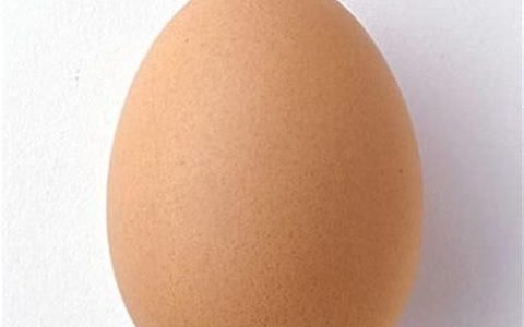 农村土鸡蛋的营养价值真的比城里饲养鸡蛋的营养价值要高吗土鸡蛋都哪些神奇的功效