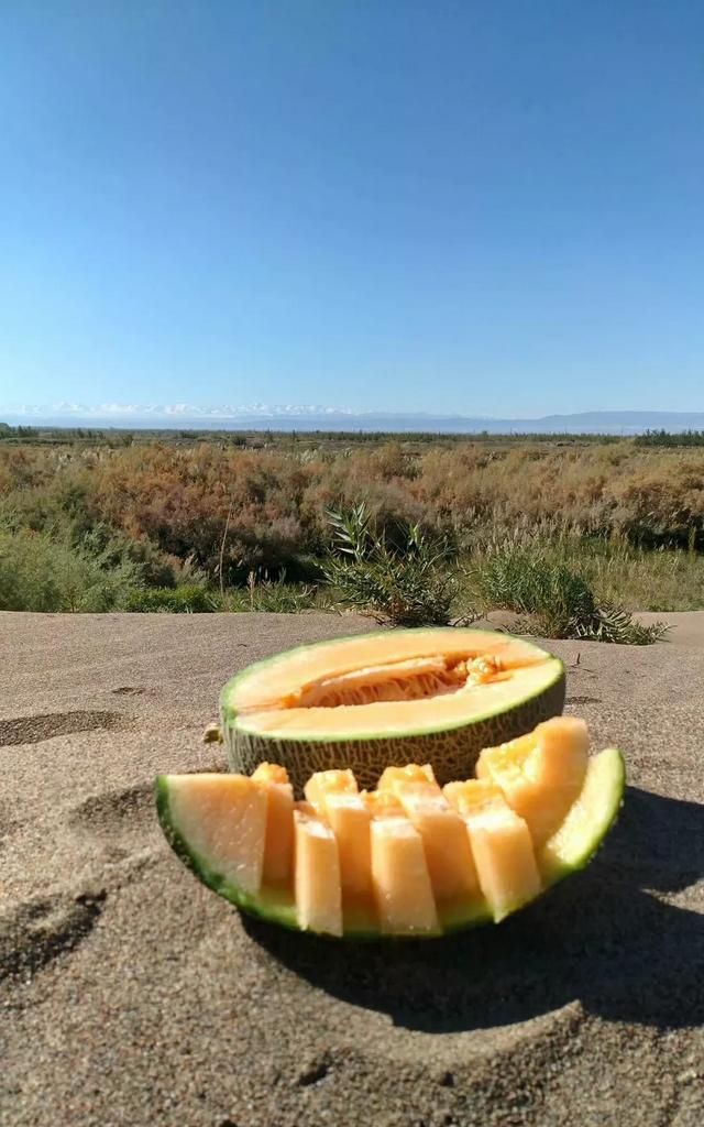 怎么挑选哈密瓜,怎么挑选哈密瓜皮薄肉厚图4