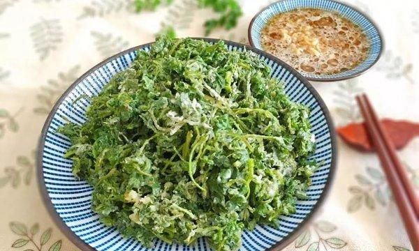 120种野菜介绍，图名并茂，快来认识一下！涨知识不吃亏