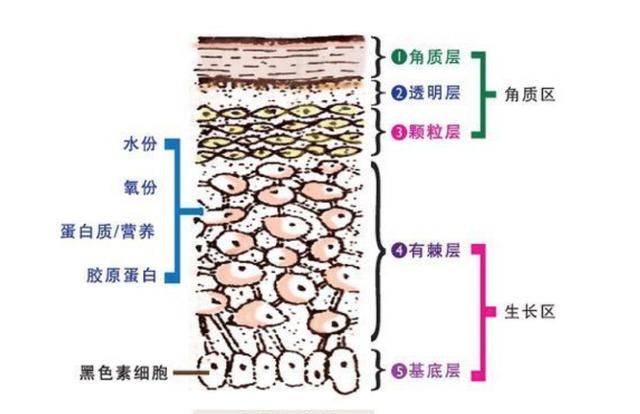 什么东西可以去雀斑,怎么祛雀斑的最有效方法图1