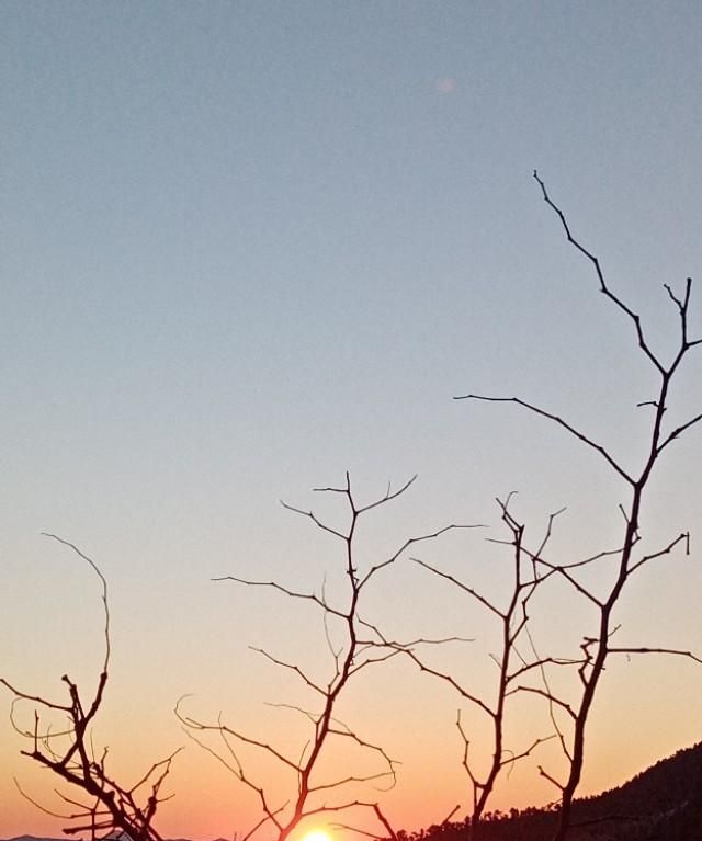 俗语“水绝鞭春牛，土人满地走”，啥意思图2