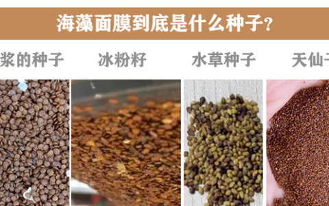 海藻面膜主要作用和功效是什么,做海藻面膜感觉海藻颗粒进入眼睛