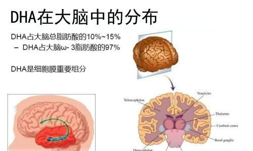 孕早期可以吃深海鱼油吗图2