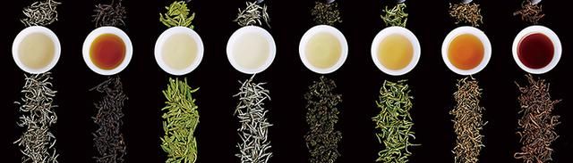 红茶绿茶白茶黑茶普洱乌龙……哪种才是减肥小能手？