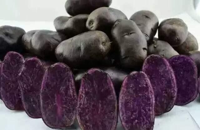 紫薯和紫土豆哪个营养价值高(紫薯和紫土豆哪个抗氧化效果好)图4