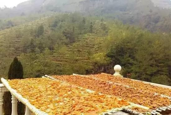 赣南番薯干是怎么制作的呢(赣南番薯干的晒法)图17