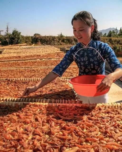 赣南番薯干是怎么制作的呢(赣南番薯干的晒法)图18