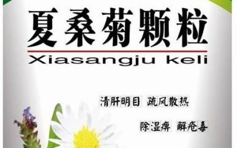 夏桑菊的好处与坏处