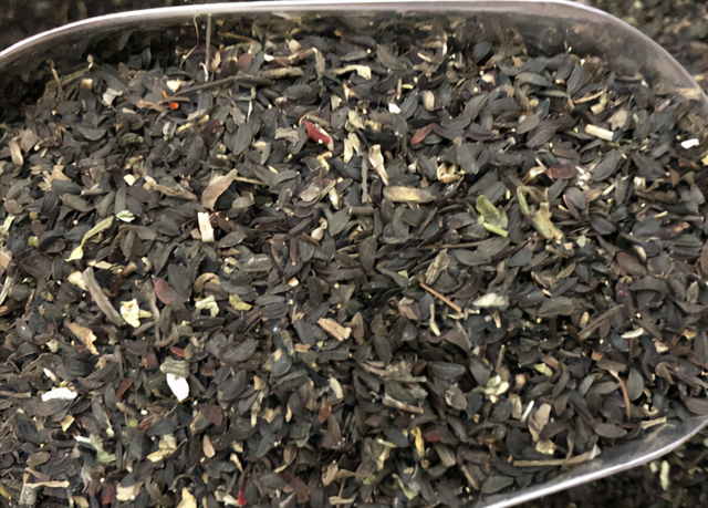 夏季养猪、鸡鸭鹅牧草-苦荬菜，耐高温40度，消化率高，促进食欲