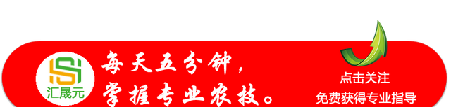 这个项目最适合农民，投资少，风险小，效益高