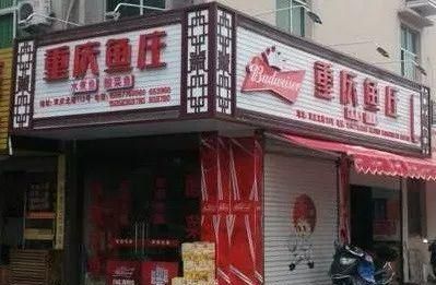 我想和你一起做这件生命中最重要的事！