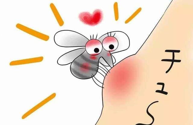 如何有效驱蚊(怎样有效的驱蚊)图4