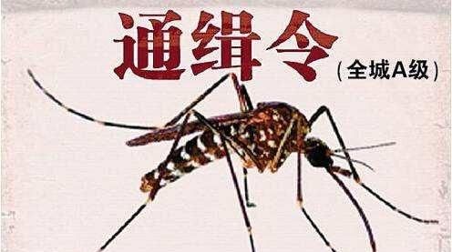 如何有效驱蚊(怎样有效的驱蚊)图7