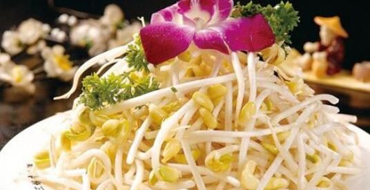 黄豆芽发绿了还能吃吗 黄豆芽和绿豆芽哪个好