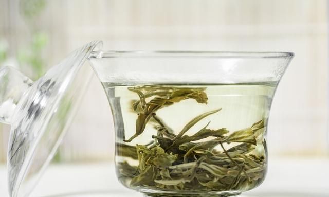 茉莉花茶：你真的喝对了吗？一文读懂茉莉花茶，以解夏日炎热之烦