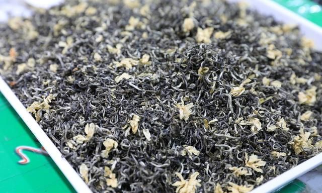 茉莉花茶：你真的喝对了吗？一文读懂茉莉花茶，以解夏日炎热之烦
