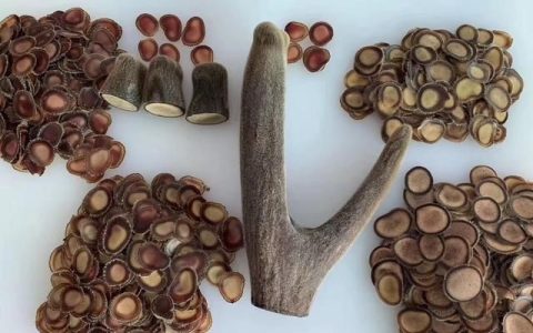 中药材食用养生的功效是什么呢,滋补养生食用中药材大全