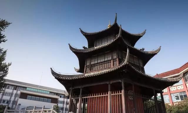 荔浦大芋头有什么功效图11