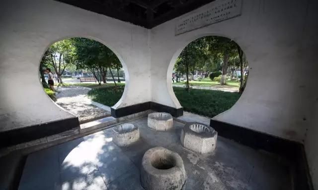 荔浦大芋头有什么功效图13