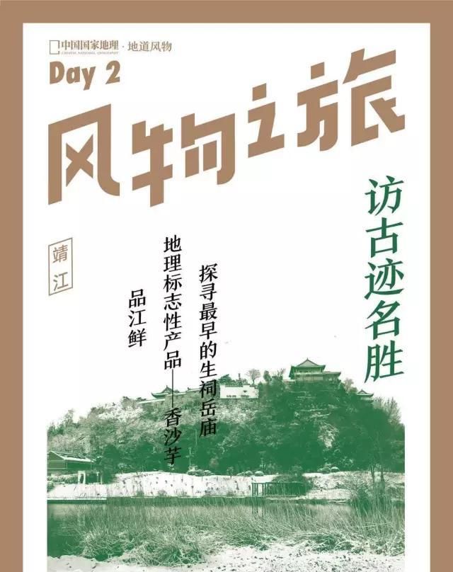 荔浦大芋头有什么功效图14