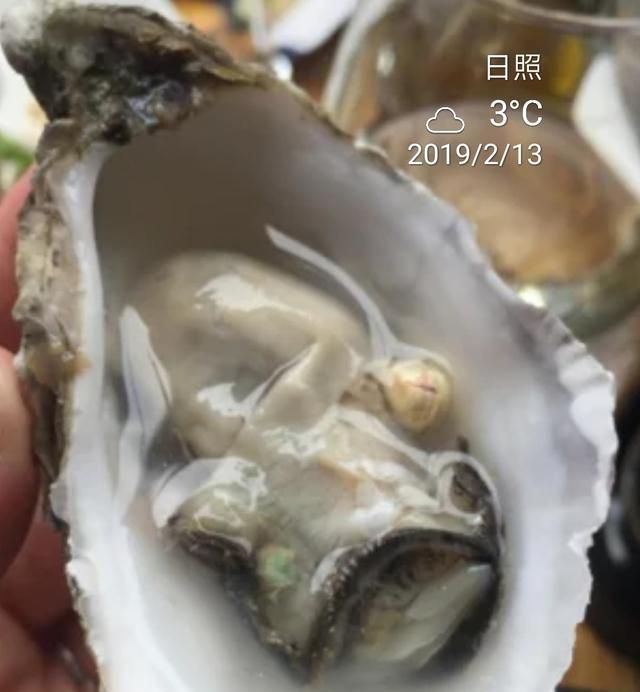 牡蛎怎么做,牡蛎怎么做给宝宝吃图13