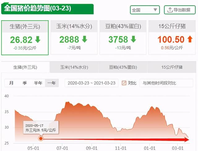 23日15公斤仔猪价格，母猪产能受损严重，今年仔猪变金猪？