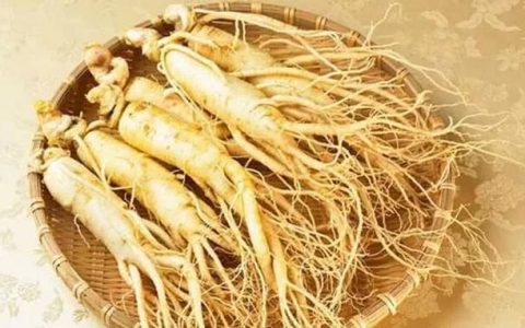 人参有什么药效(人参有没有药效)