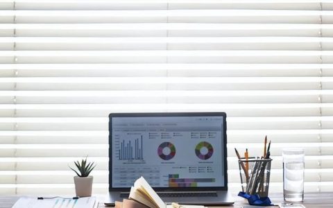 办公桌上的绿植有哪些,办公室桌什么绿植最好养