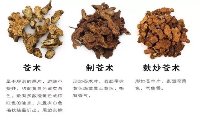 白术苍术用生的还是炒制的好图3