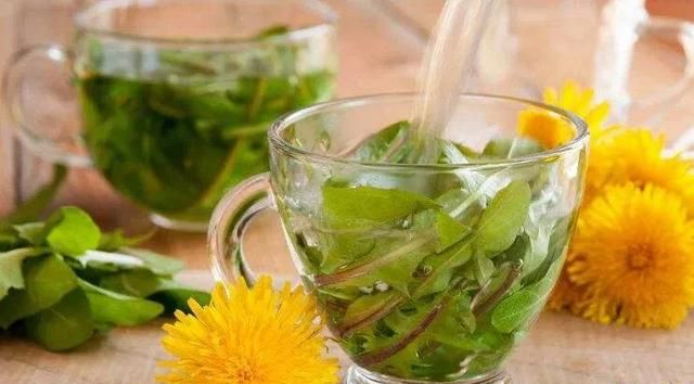 蒲公英可以和金莲花一起泡水喝吗图4