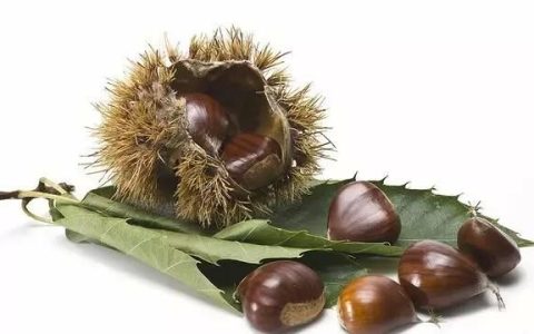 12个最快的生板栗去皮方法,生板栗去皮最快方法