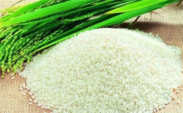 大米的功效是什么,大米的用处和功效图1