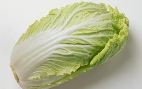 大白菜的功效和作用