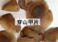 产后下奶汤，让乳汁来得再多一点